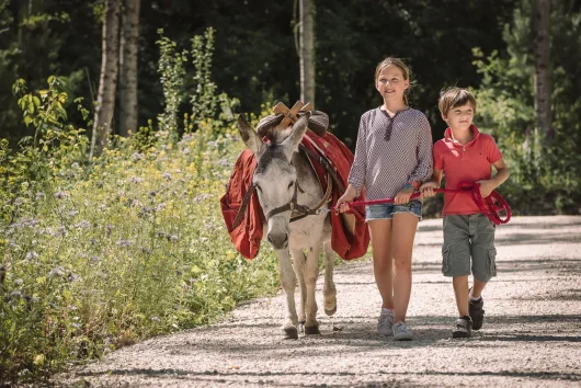 Des enfants avec un âne