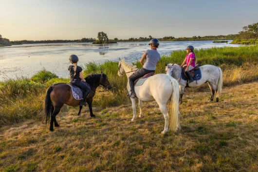 Horse riding: gallop through the loire valley countryside!