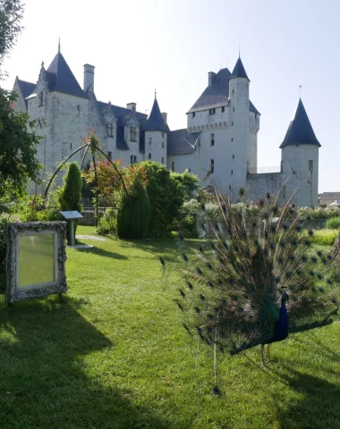 Le parc devant le chateau du Rivau avec un paon qui fait la roue