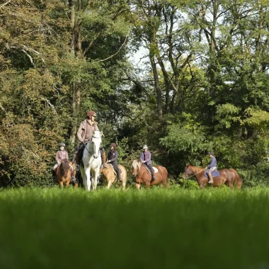 Groupe de personnes à cheval en forêt