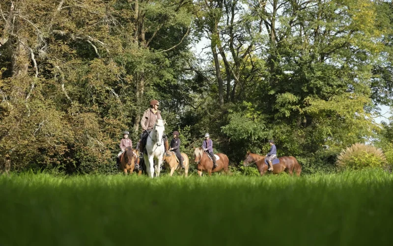 Groupe de personnes à cheval en forêt
