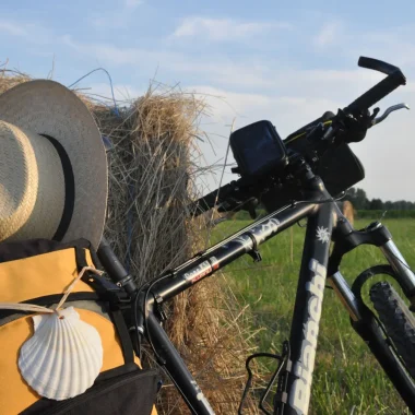 Vélo dans les champs