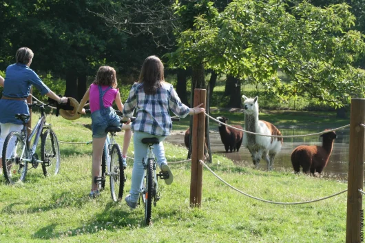 Famille à vélo observant des lamas à la réserve Zoologique de La Haute Touche