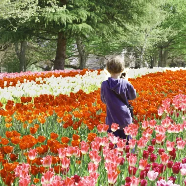 Top things to do in the Loire Valley in spring 