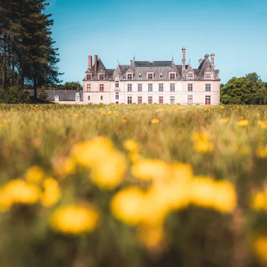 The Park and gardens of the Château of Beauregard