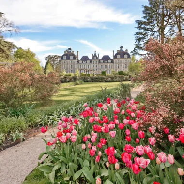 The Park and gardens of the Château of Cheverny