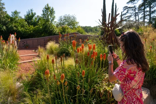 Domaine de Chaumont-sur-Loire. Femme prenant en photo le jardin 